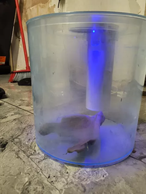 Marina 360 Aquarium LED FISH TANK 26cm X 26cm