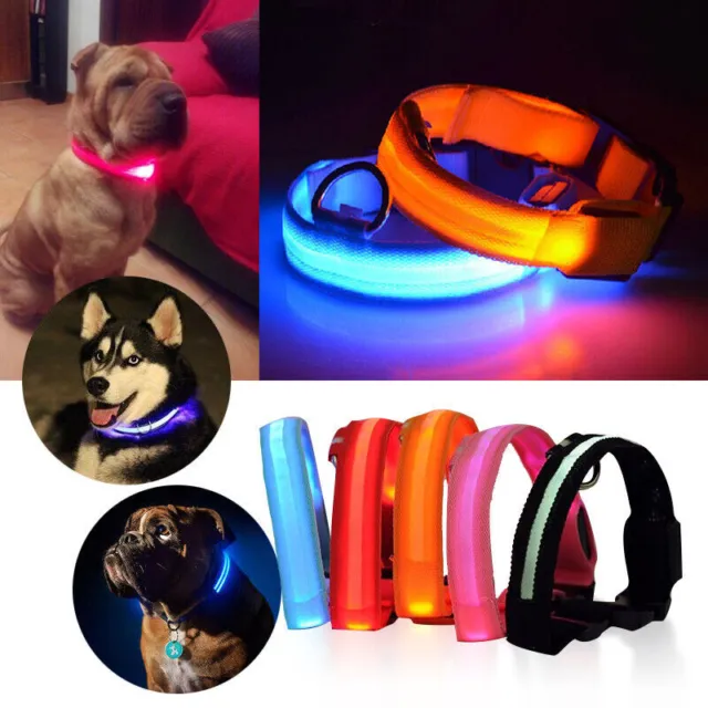 Hundehalsband LED Hund Leuchthalsband Hund LED Halsband Gr. XS S M L XL