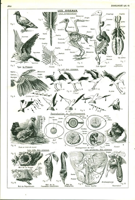Inventions et pratiques agricoles en France (1789-1950