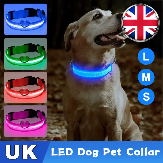 USB Rechargeable LED Pet Dog Collar Flashing Luminous Safety Light Up Nylon UK