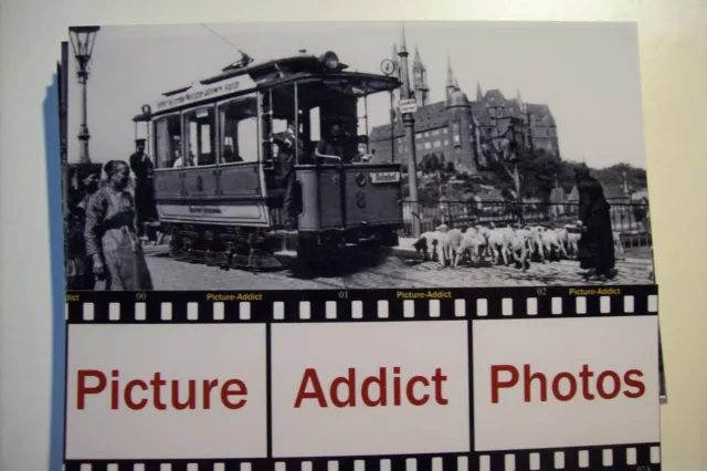 Foto Straßenbahn Meissen, Elbbrücke, Triebwagen Nr. 3, Schäfer mit Schafherde