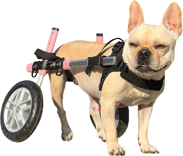 Barely used Walkin' Wheels Dog Wheelchair for Small Dogs 11-25 lbs Vet Approved