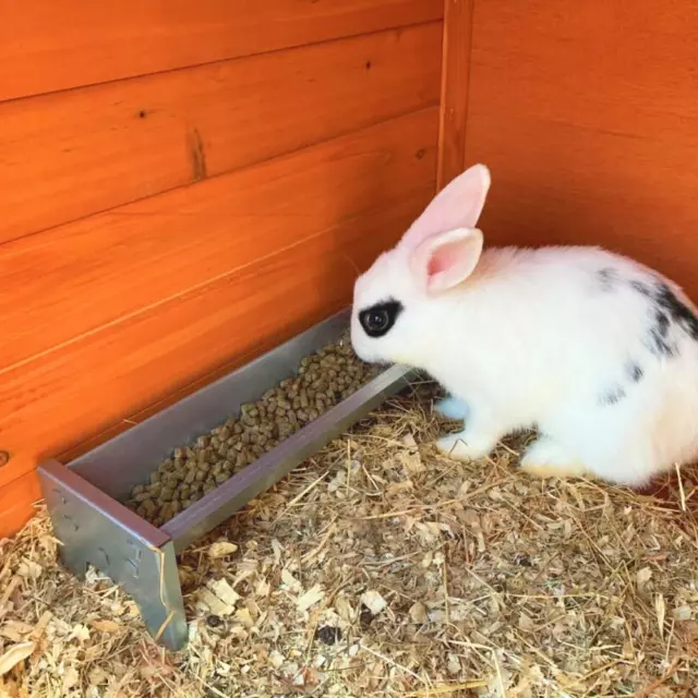 Kaninchenfutter Kaninchenstall Kaninchenspielzeug Zubehör Kleintier Fütterungsschüssel Haustier