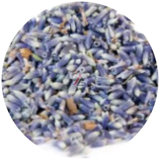 Dried Lavender Flowers - 95 gm