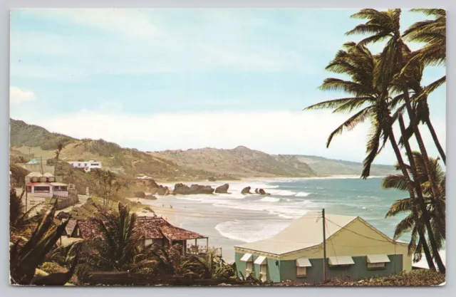 s25832 Bathsheba Coast St Joseph  Barbados  postcard