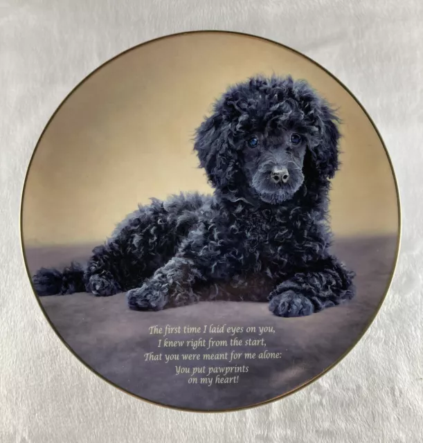 PAWPRINTS ON MY HEART Plate Cherished Poodles Danbury Mint You Were Meant For Me