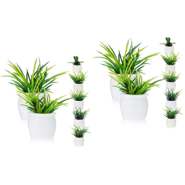 14 PIEZAS Casa de muñecas Bonsai Set Mini Jardín Plantas en Macetas