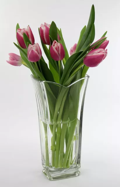 BORMIOLI ROCCO ‘Vinciana’ Tulip-Shaped Glass Flower Vase (23cm x 9cm) –...