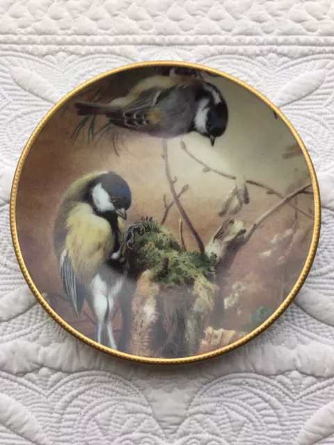 Davenport Thorburn’s GARDEN BIRDS Decorative Plate ~ The Great Tit