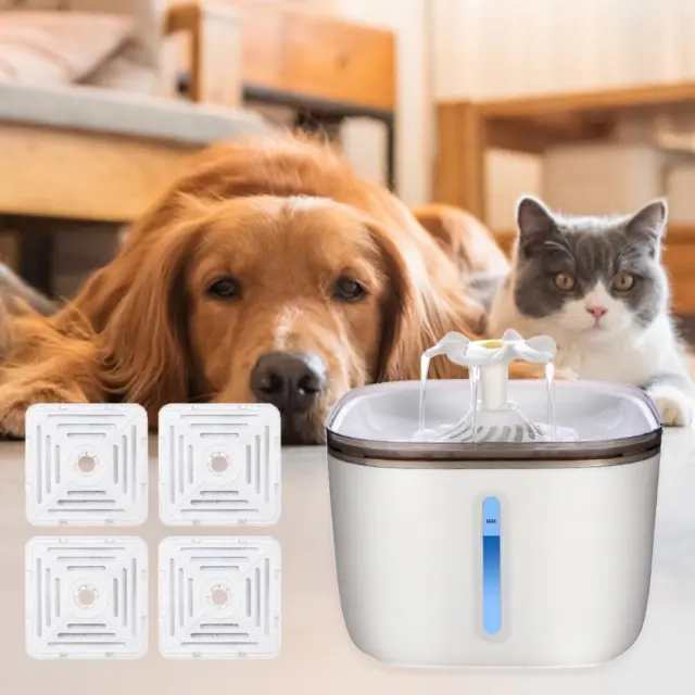 Distributeur automatique de fontaine d'eau de chat pour chien et bol à boire