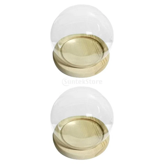 2 Stück Glas Display Cloche Bell Jar Dome Cover Flower Preservation mit Basis
