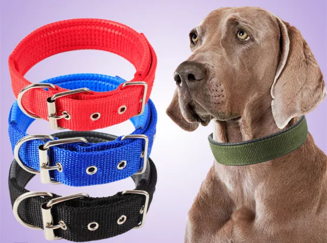 Dog Collar Nylon Pets with Buckle Durable Adjustable Soft Puppy Cat Leash Strap