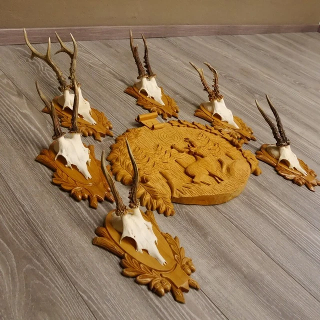 6 Pieza Cornamenta de Corzo En Geschnitztem Escudo Trofeo + 1 Tallado Placa Tema 3