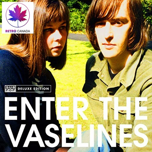 ENTER THE VASELINES 3LP ヴァセリンズ LP レコード Vaselines, The (ヴァセリンズ) - All The Stuff And More