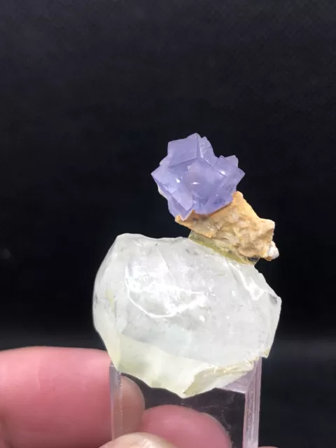 Natural Deep Purple Cubic FLUORITE Crystals Specimen Combine With Calcite