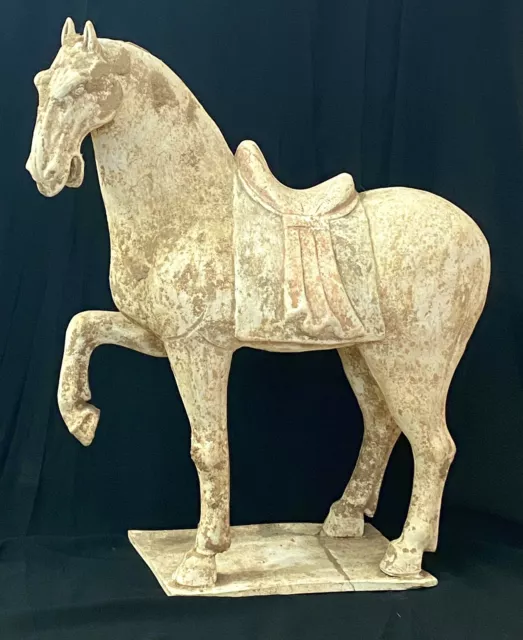 Chinese Tang Dynasty Style Terracotta Horse