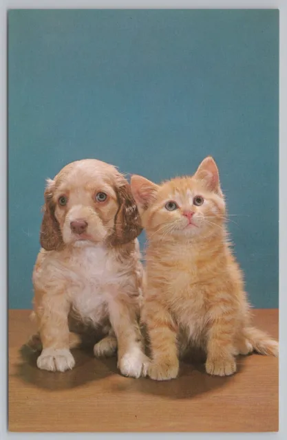 Animal~Dog & Cat~C'Mon And Smile~John Gajda Photo~Vintage Postcard