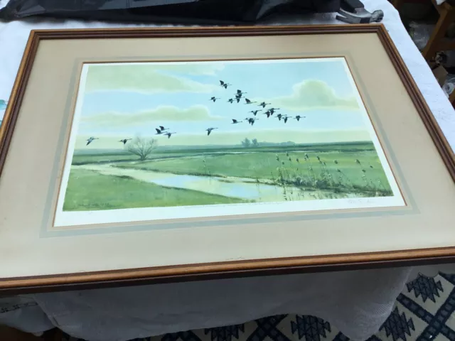 Peter Scott Wild Geese Of England Ltd Ed Fine Arts Blind Stamp Signed C 1945