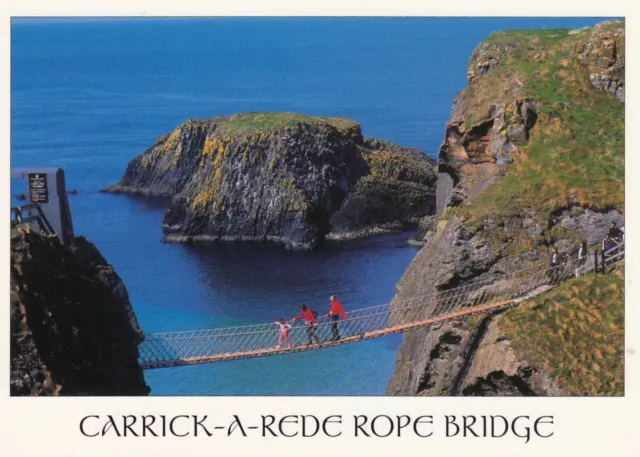 Postcard Carrick a Rede Rope Bridge Antrim Coast [ John Hinde ] My Ref UK