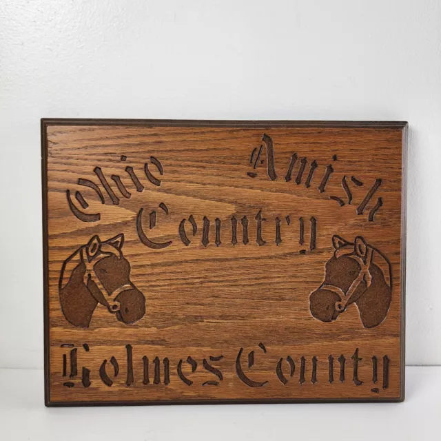 Amish Country Holmes County Ohio Horses Farmhouse Oak Wood Wall Hanging Handmade