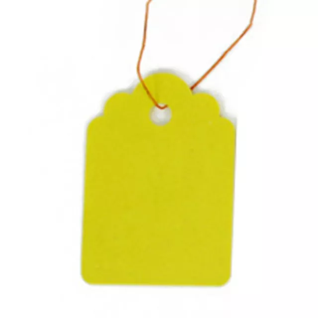 100pcs/bag Tree Hanging Tags Solid Colorful Waterproof Gardening Nursery Marker