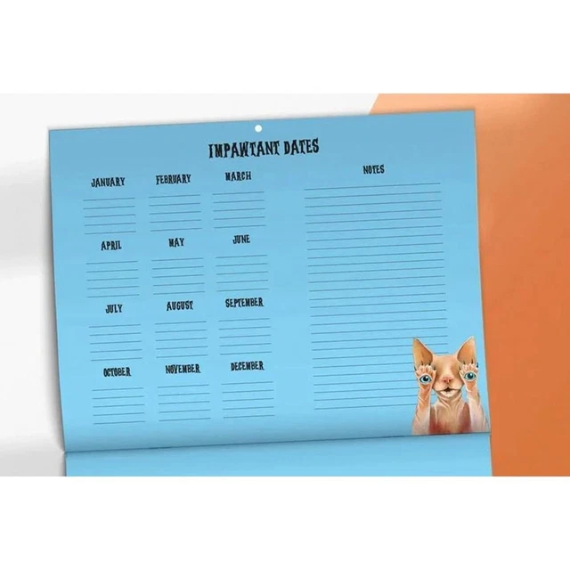 time-planning-scaredy-cats-2024-monthly-calendar-2024-calendar-home