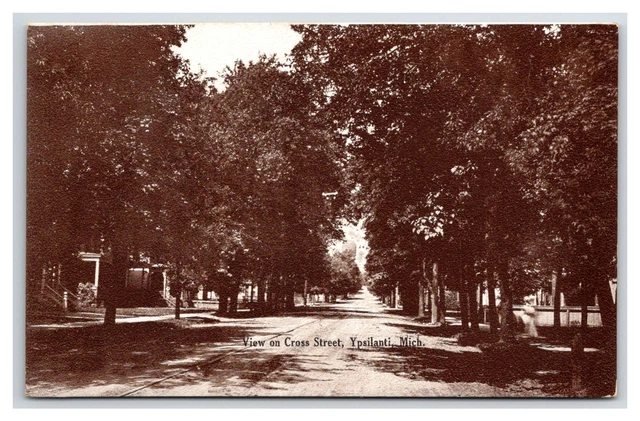 Ypsilanti,MI View on CROSS STREET , Dirt road Washtenaw County UNP