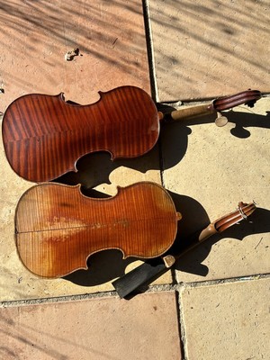 Symphonie 24 1/8 Violon Violon enfants élèves débutants Violons Bauer Basic III 