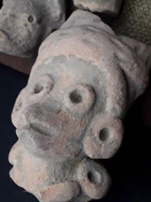 Mexican Pre Columbian Tlatilco Terracotta nice heads Group lot 2 9