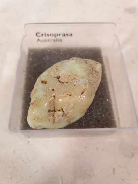 Mineral Crisoprasa De Australia en caja expositora