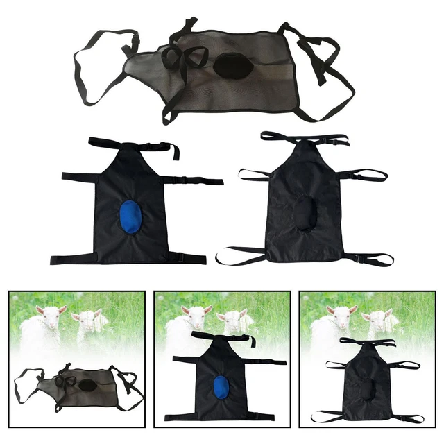 Tablier Anti-reproduction Pour Chèvres – Tissu Oxford Respirant, Sangle Réglable – Contrôle D’élevage Pratique