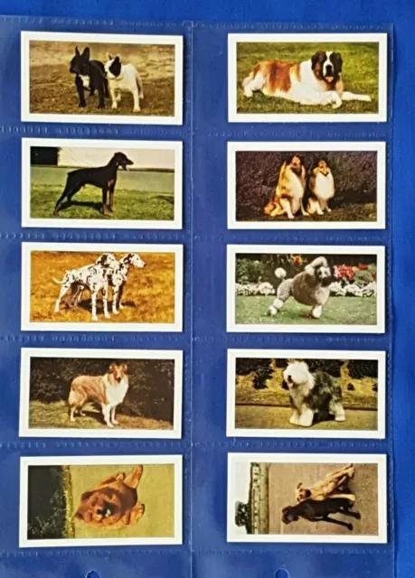 Hornimans Tea cards DOGS issued in 1961 - Full Set of 48 in Sleeves