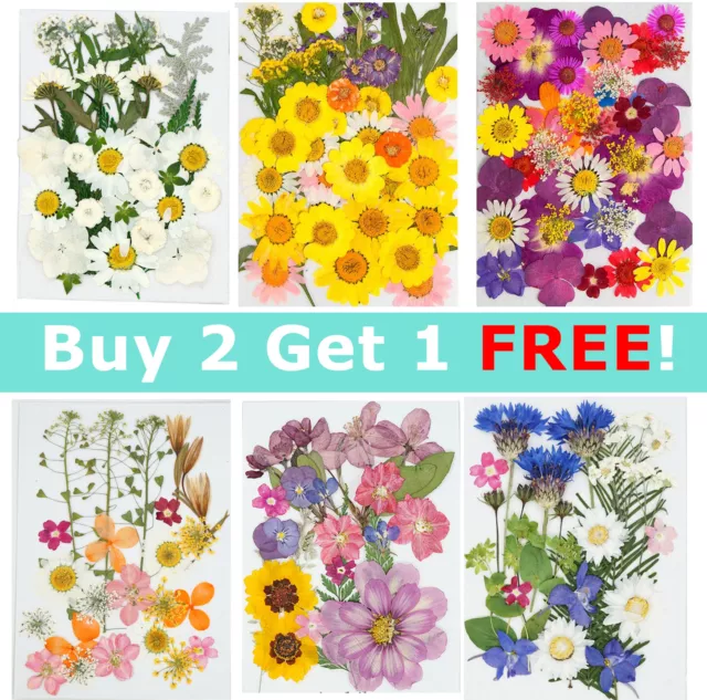 17-42 Pcs Dried Pressed Flowers for Resin Real Dry Leaves Bulk DIY Art Crafts AU