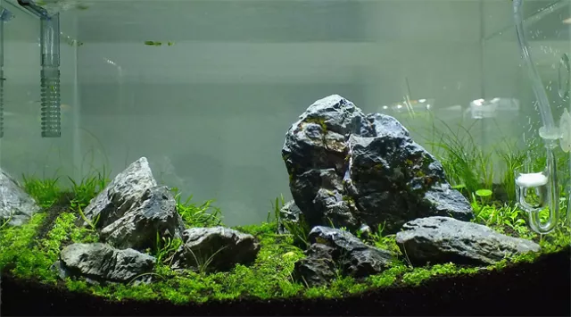 Aquarium ensemble deals