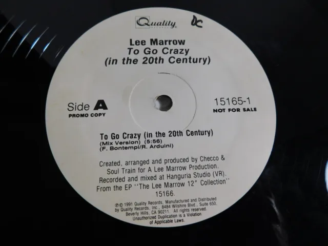 Lee Marrow ‎– To Go Crazy (In The 20th Century) 12" Single PROMO 1991