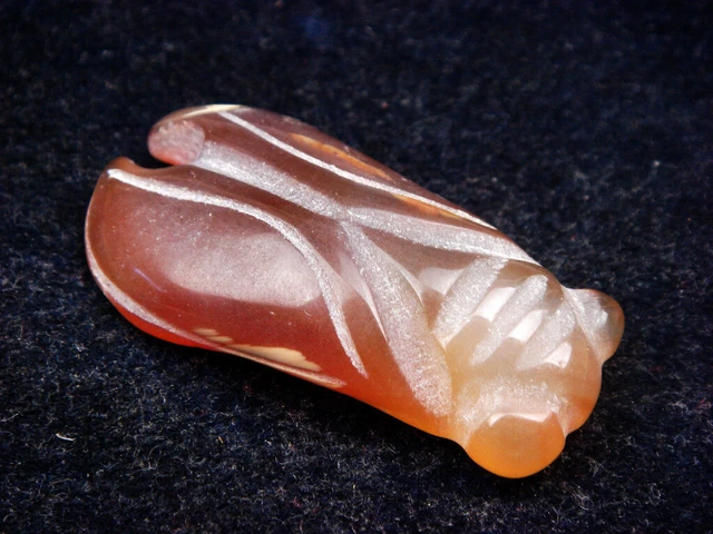 Old Nephrite Jade Stone Carved HongShan Culture Ancient Bug Cicada #09082306