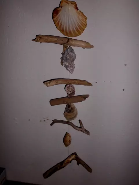 Dekorativer Treibholzhänger mit Muscheln und Schnecken , Windspiel- Girlande