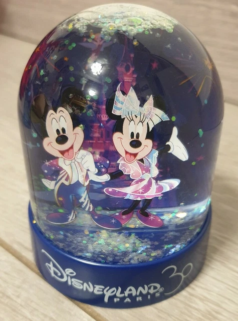WATERBALL 30 ème FAMILY / Ans Famille Disneyland Paris