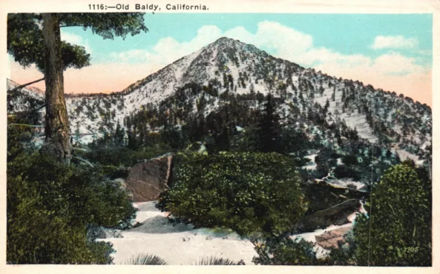 Postcard CA Midwinter Scene From Old Baldy Antique Unposted Vintage PC G9945