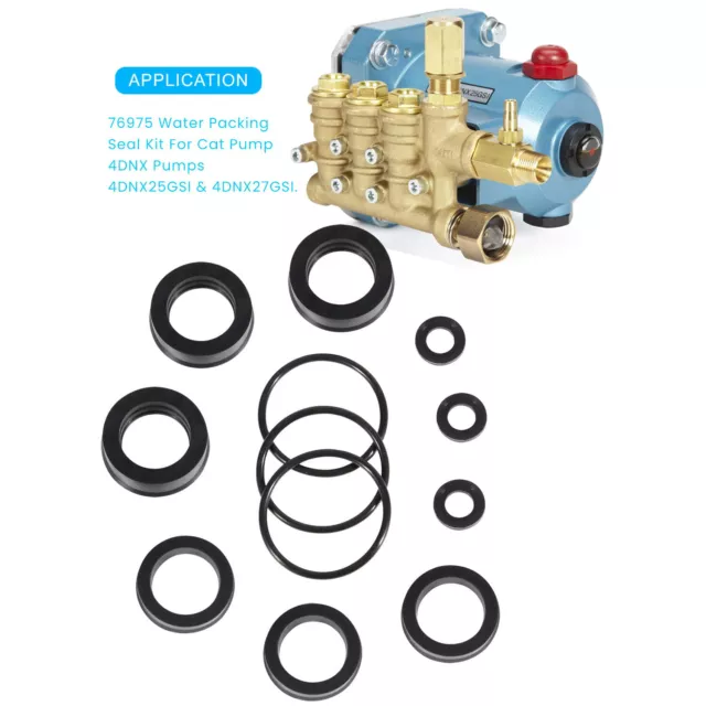 76975 Seal Kit Cat Pump Seal Kit for 4DNX Pumps Model 4DNX25GSI 4DNX27GSI