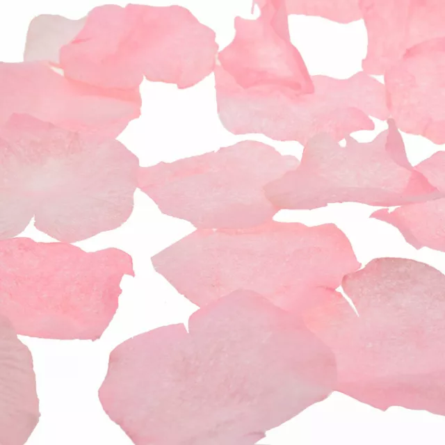 Pack of 200 Baby Pink Wedding Organza Petals - XNB016