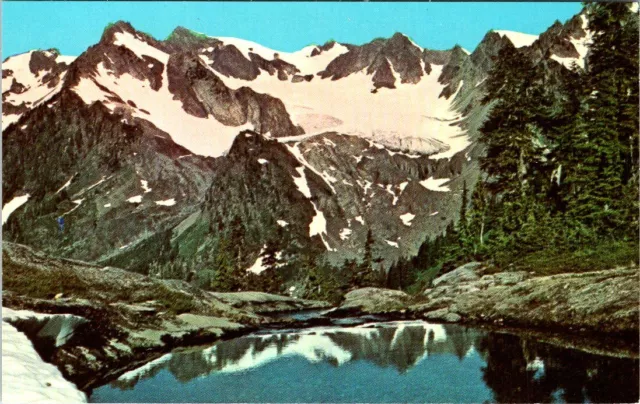 Humes Glacier, MT. OLYMPUS, Washington Chrome Postcard