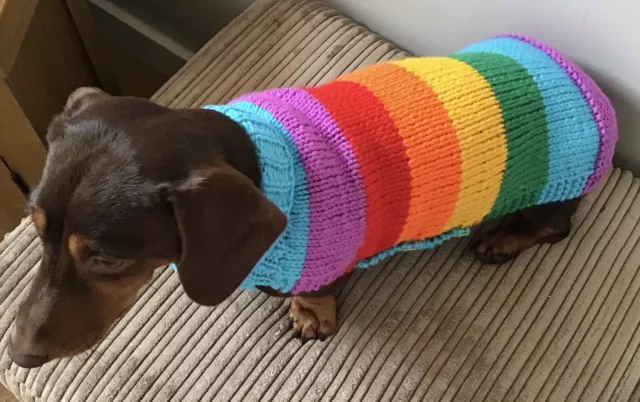 New  Aran handmade Dog Jumper for Miniature Dachshund Or Small Dog Rainbow Style