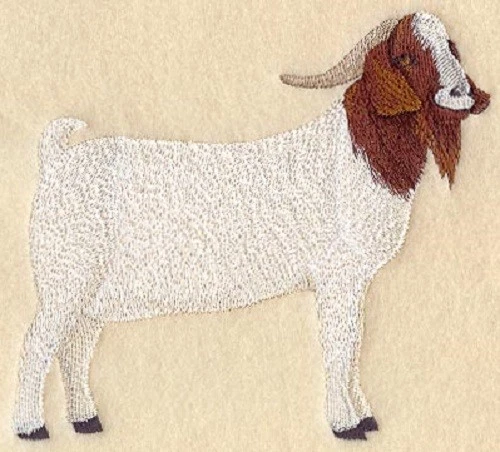 Embroidered Ladies Jacket - Boer Goat A6652 Sizes S - XXL