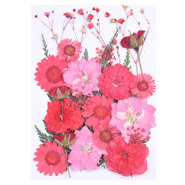 Flores secas para hacer velas de resina hágalo usted mismo