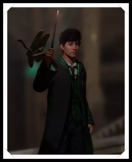 FOTO POSTER A4 - Hogwarts Legacy - Raro - SENZA Cornice - Art Cod. S4-17