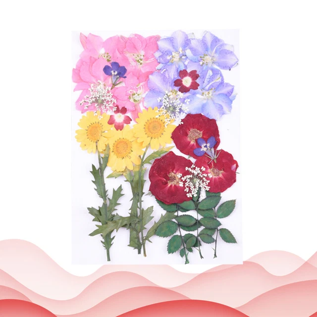 1 hoja de álbum de colección pegatina arte artesanía pegatina