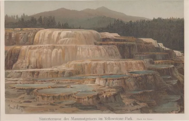 Orig. kolorierter Holzstich - Sinterterasse des Mammutgeisers im Yellowstone - P