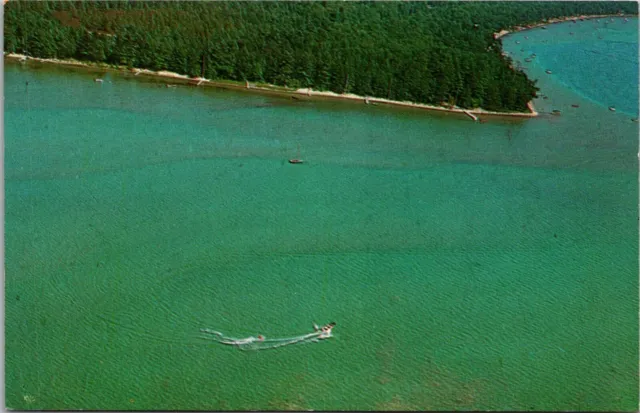 Aerial View, Flag Point, Higgins Lake MI Vintage Postcard V48
