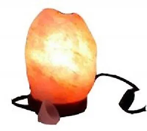 Salt Lamp Oil Warmer